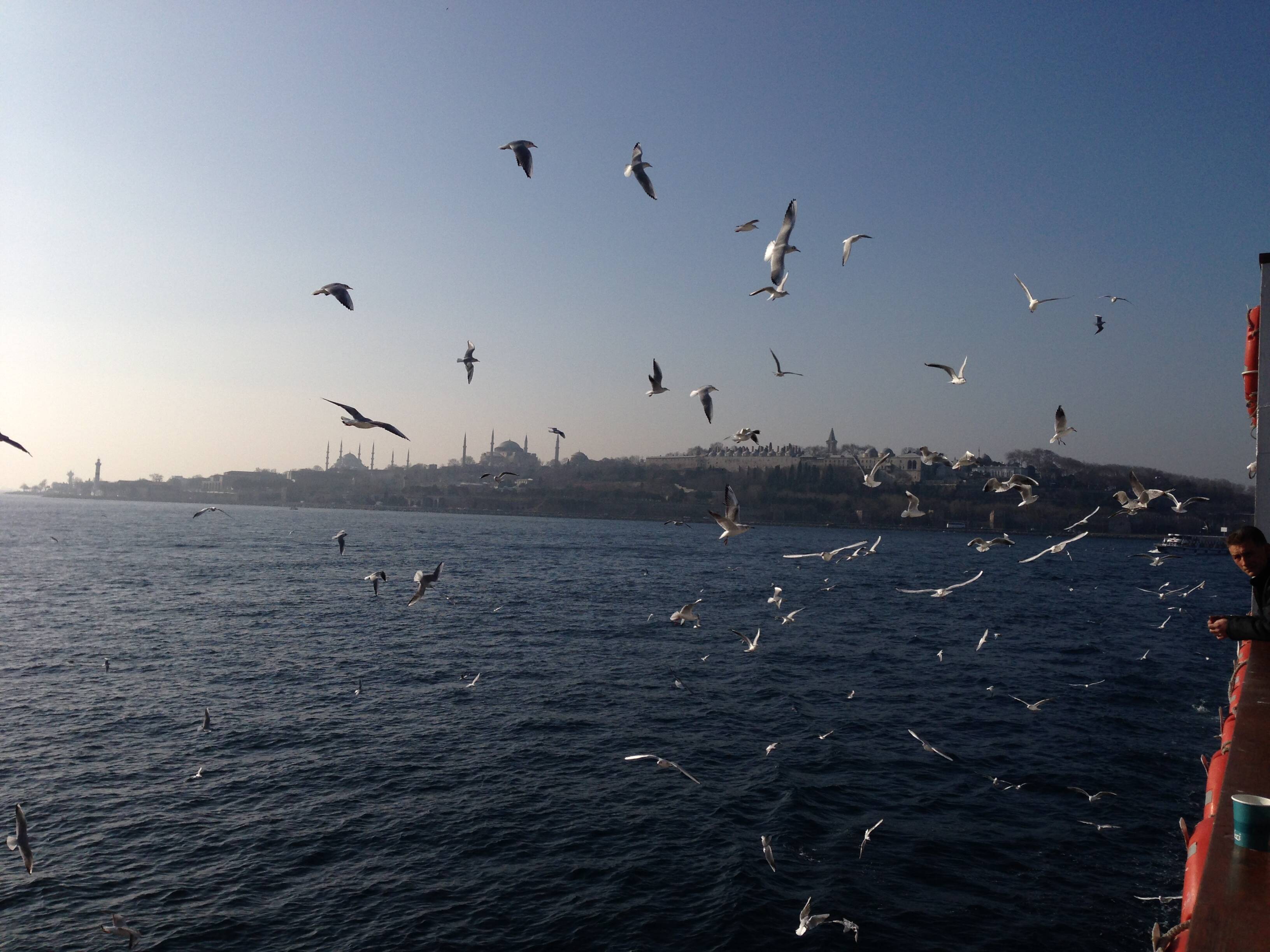 İstanbul 2014